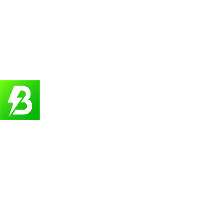 Electro borzesti